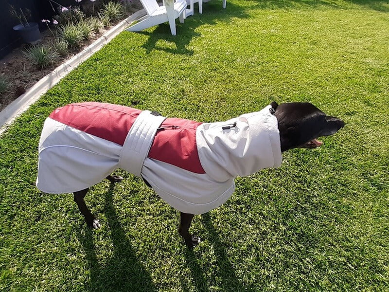 Winter Coat
