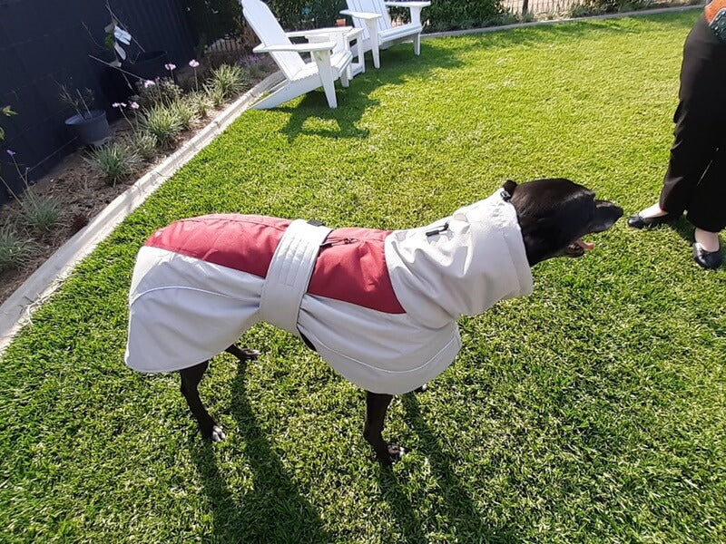 Winter Coat
