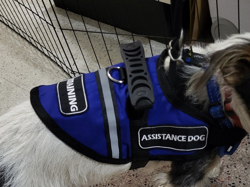 Assistance/Therapy Dog Vests to be worn with harness