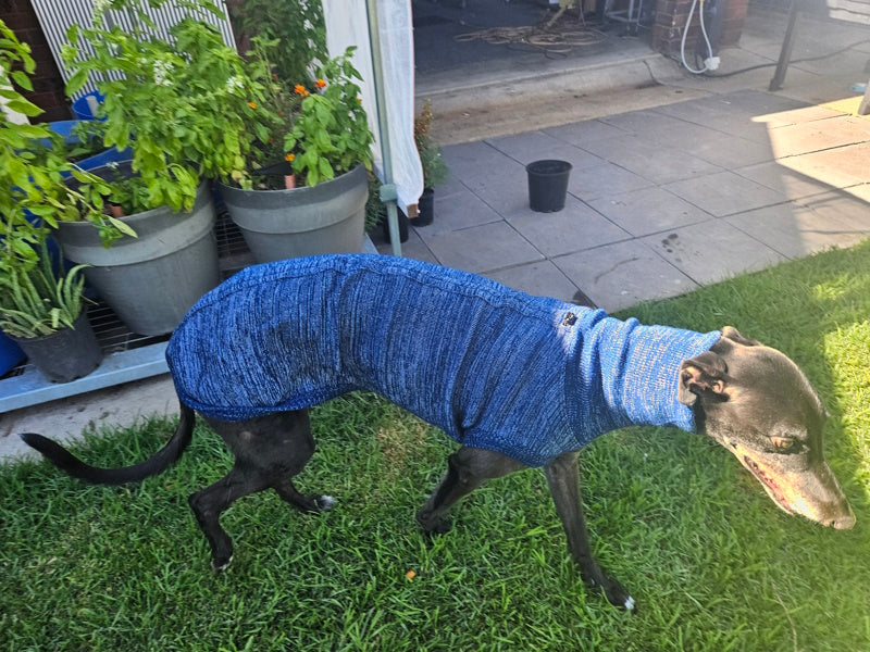 Greyhound top knitted sweater