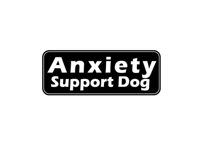 Anxiety Support Dog