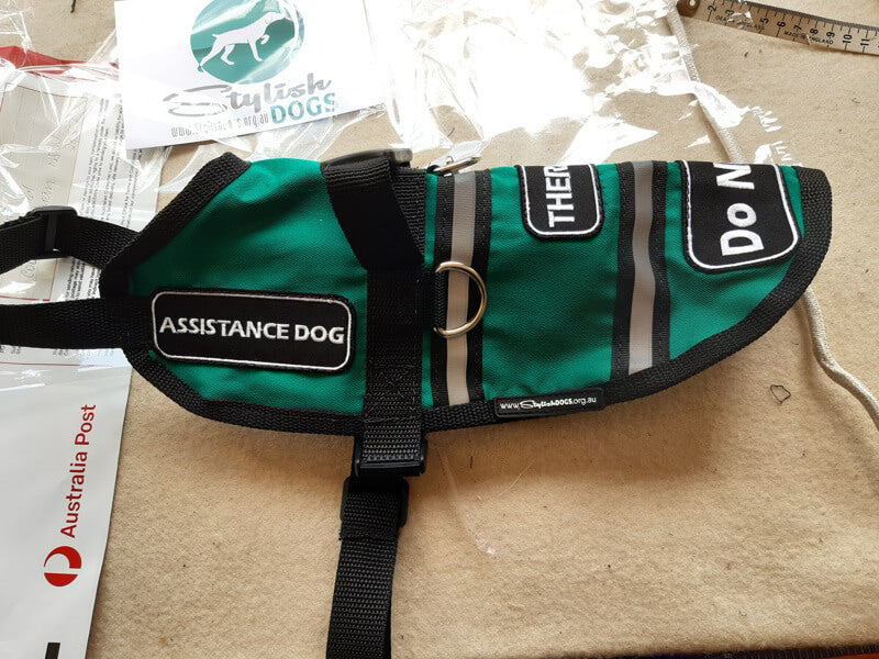 Assistance and Therapy Dogs Vest