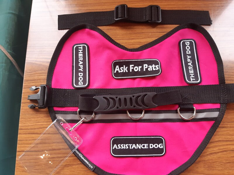 Assistance and Therapy Dogs Vest