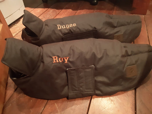 1 Dogs Name Embroidered on coat/vest
