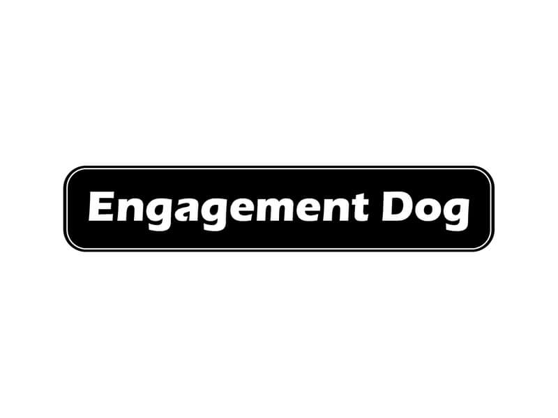 Engagement Dog