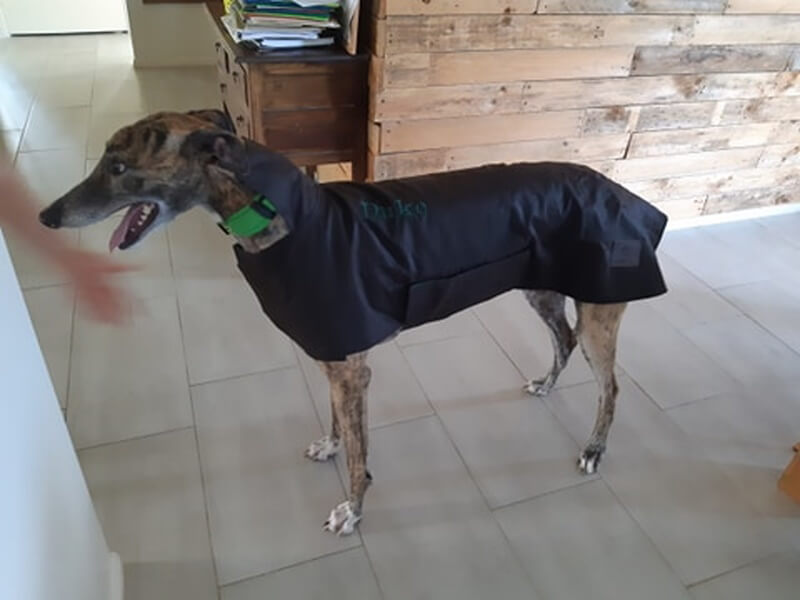 Black Oilskin Dog Coat